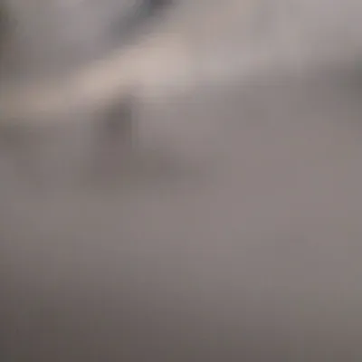 ty