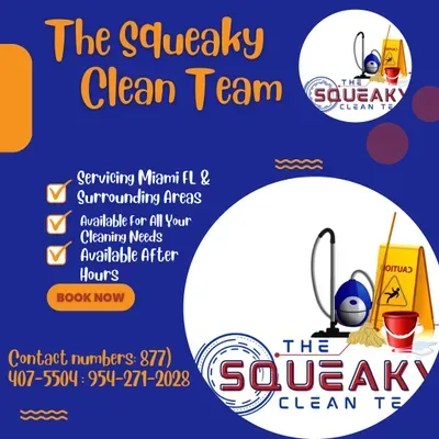 The Squeaky Clean Team LLC