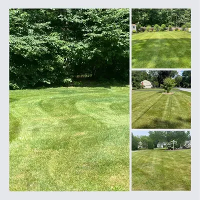 518 Urban Landscaping