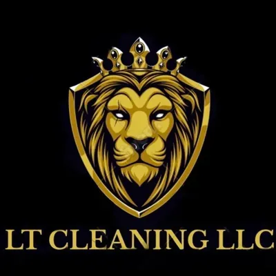 LT CLEANING LLC