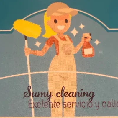 Sumy cleaning