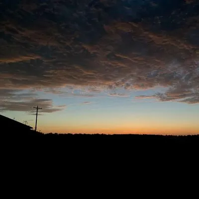 Southern Grown Landscape