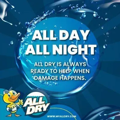 All Dry Services of East Richmond