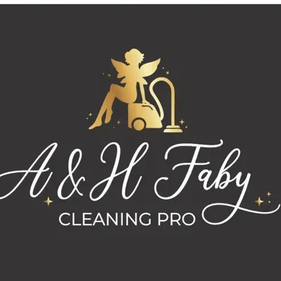 Faby Cleaning pro