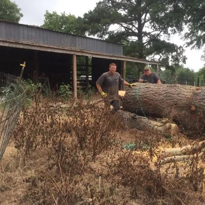 Mike's Complete Tree and Landscaping Services