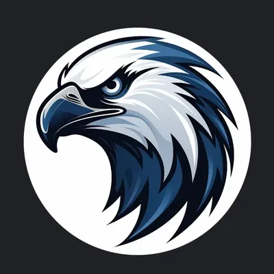 Eagle Eyes Home Services ?