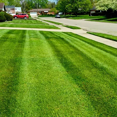 Stinger landscaping