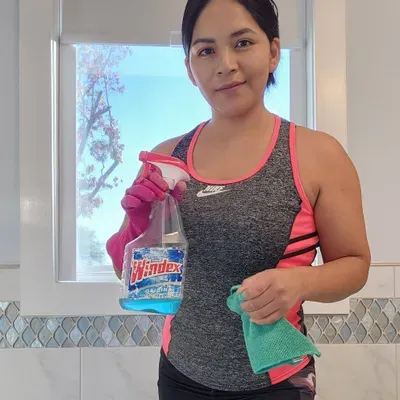 Nieves's cleaning services