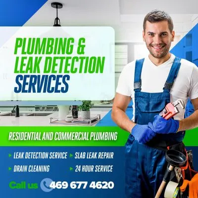 Plumbing & Leak Detection Pros