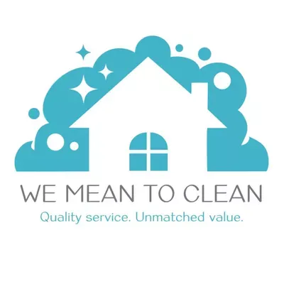 WE MEAN TO CLEAN LLC