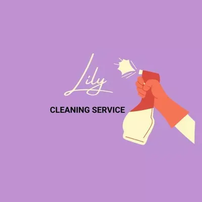 Lily's Cleaning