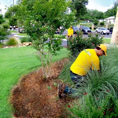 The Grounds Guys of Riverview, Fl
