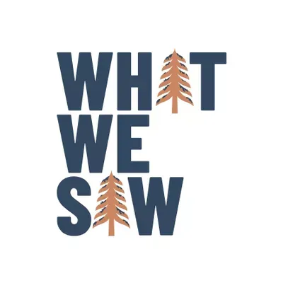 What We Saw LLC