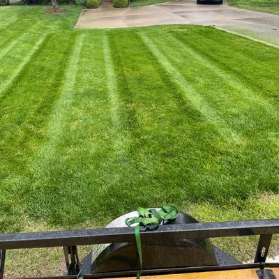 West Lawn Maintenance