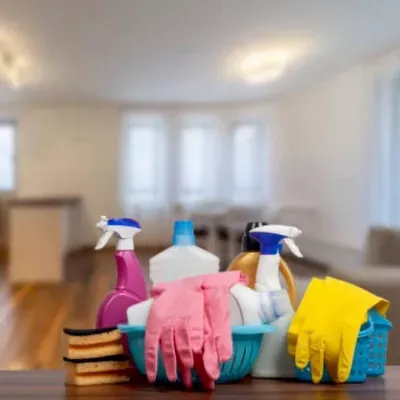 Ronna Cleaning