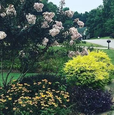 Petals & Pots LLC