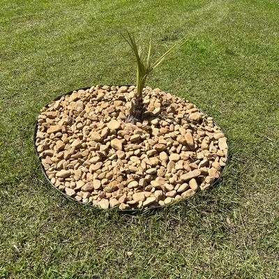 Michael’s Lawn Service