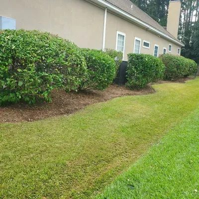 Ana Morales landscaping