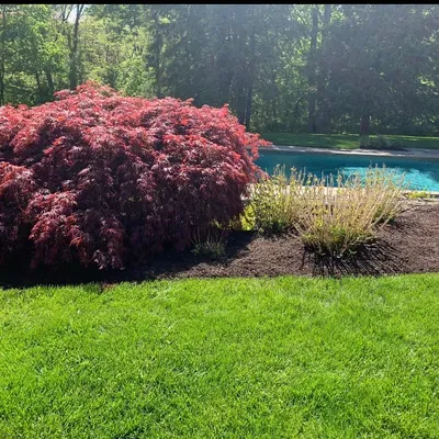 Chaves landscaping