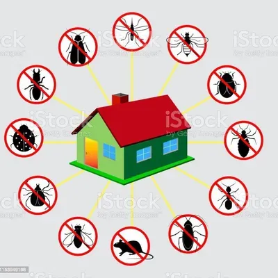L&W Organic Pest Control