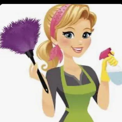 Giseli cleaning service
