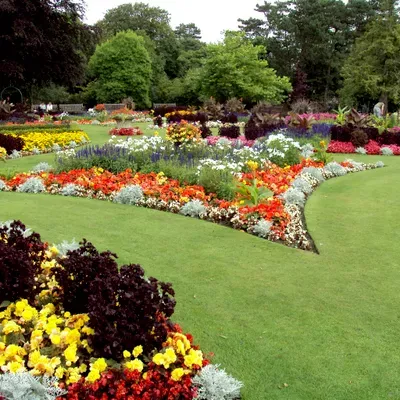 Eva's Garden