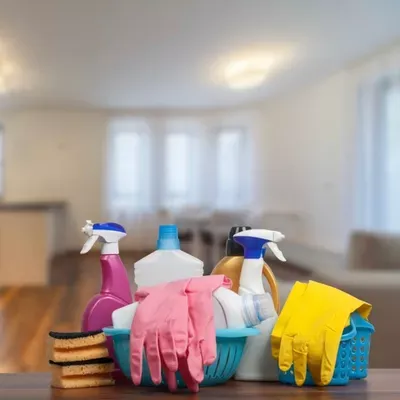 Scrubbable cleaning