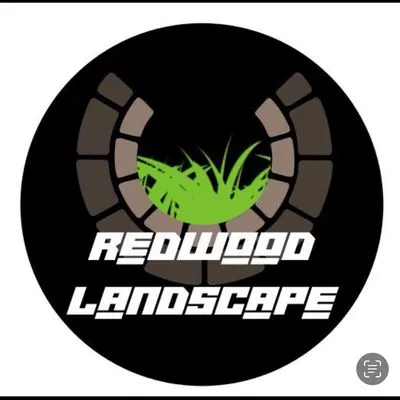Redwood landscape