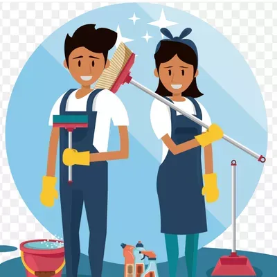 Apex cleaners