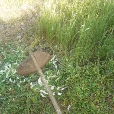 Green Grass Lawn Care & Maintenance