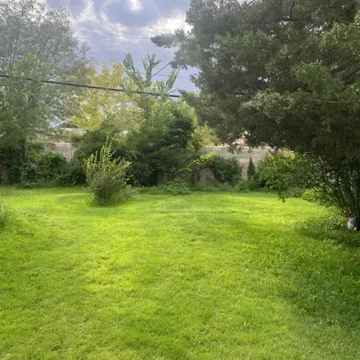 Green Fix Landscape