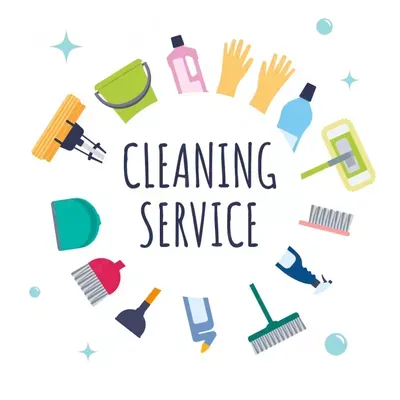 Allie cleaner