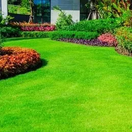 Uneek Lawncare & Auto Detail Service