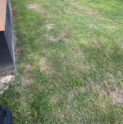Lawn changer