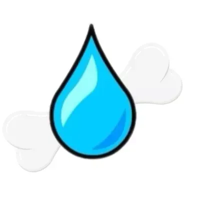 Bone Dry Water Removal