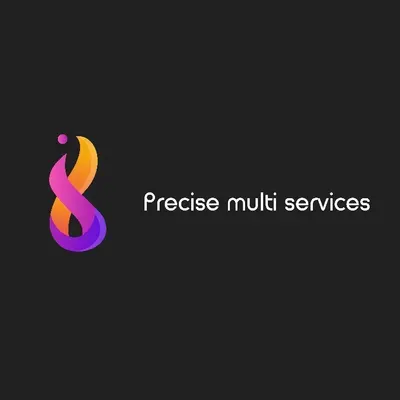 Precise Multi Services//Precise Hauling LLC