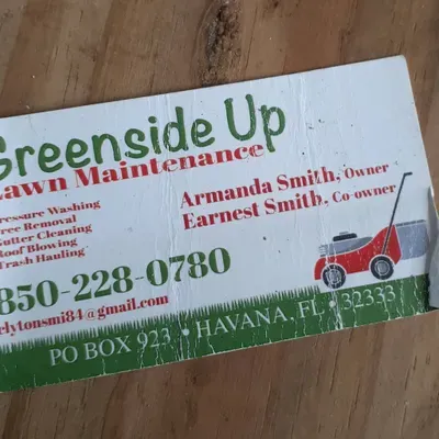 Greenside UP Lawn