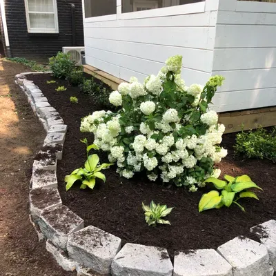 Yorman landscaping
