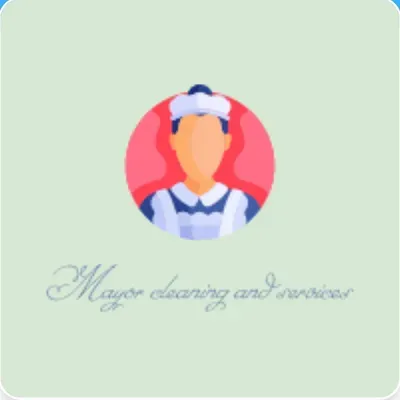 Mayor cleaning and services