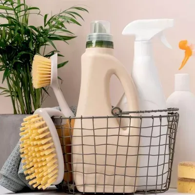 Classic Cleaning