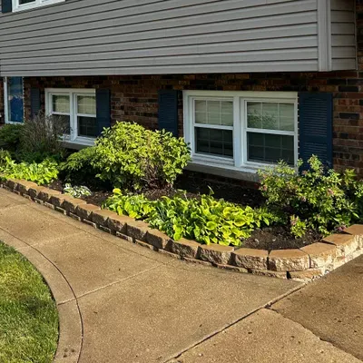 Medrano’s Yard Scape Services