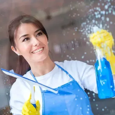 Maid Perfection