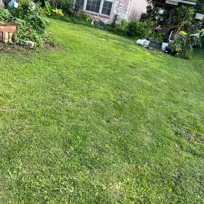 Core Lawns