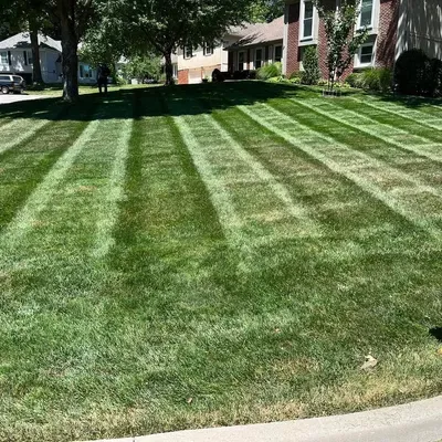 Diamond Kuttz Lawn