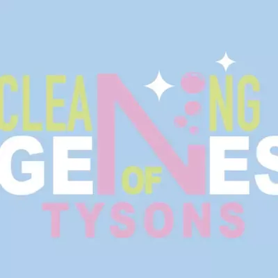 Cleaning Genies of Tysons LLC