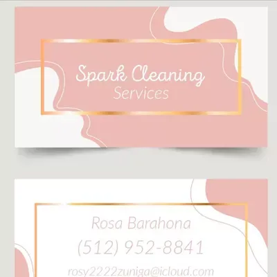 Spark Cleaning
