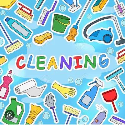 Denisse cleaning service