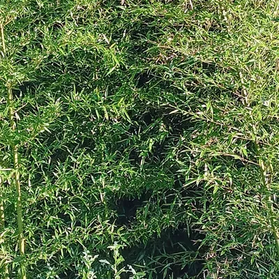 Lawn And Order Landscaping