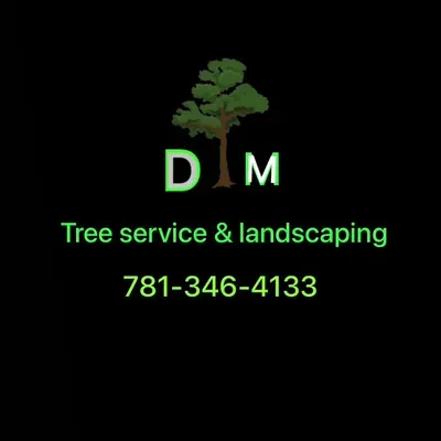 DM Tree Service and Landscaping