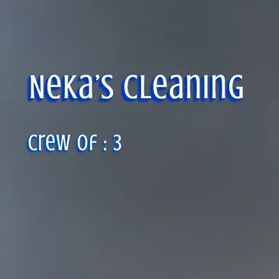 Nekas clean pro